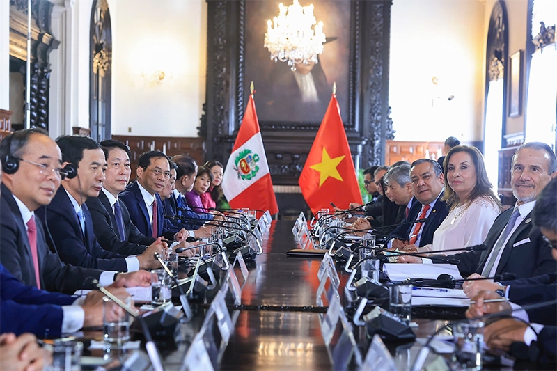 Chủ tịch nước Lương Cường hội đàm với Tổng thống Cộng hòa Peru Dina Boluarte