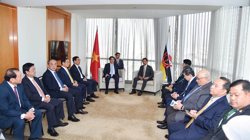 Chủ tịch nước hội kiến Quốc vương Brunei, Thị trưởng thành phố Lima, tiếp Liên minh doanh nghiệp Hoa Kỳ - APEC