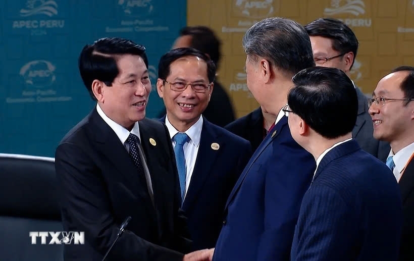 Chủ tịch nước Lương Cường gặp lãnh đạo các nền kinh tế nhân dịp dự Hội nghị cấp cao APEC