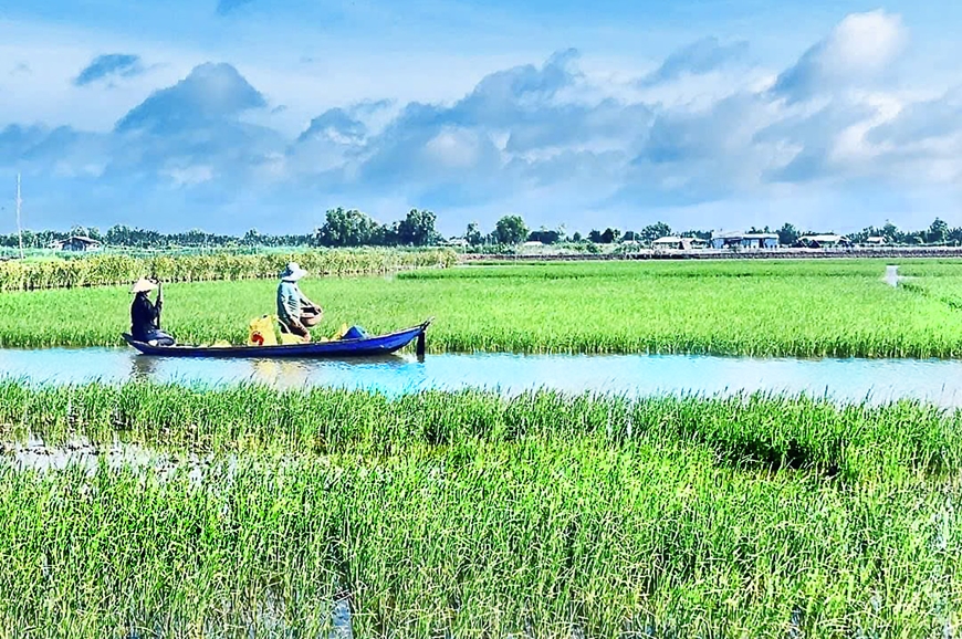 Đồng hành, thúc đẩy phát triển nông nghiệp hữu cơ