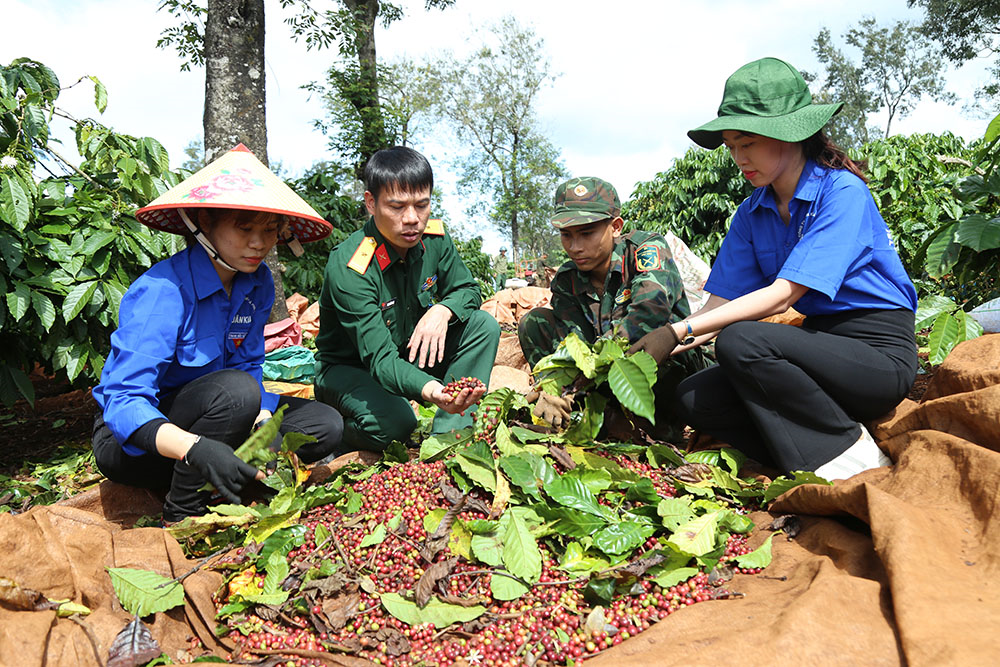 Trí thức trẻ tình nguyện về vùng khó