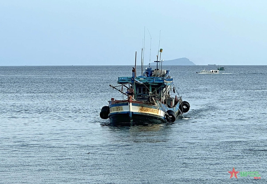 Đoàn Trinh sát số 2, Cảnh sát biển Việt Nam bắt giữ 2 tàu sang mạn dầu DO không có giấy tờ hợp pháp