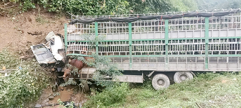 Quảng Bình: Xe tải lao xuống chân đồi, tài xế tử vong