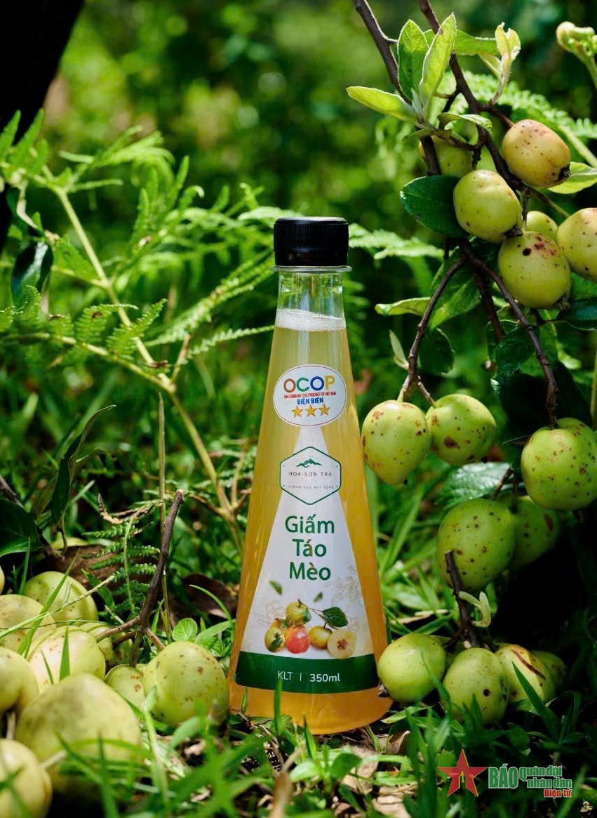 “Đại sứ OCOP” trên miền Tây Bắc
