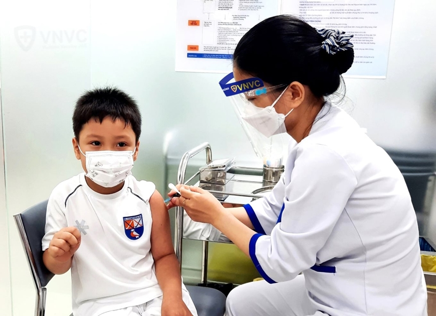 Đã có hơn 80 trường hợp tử vong do bệnh dại