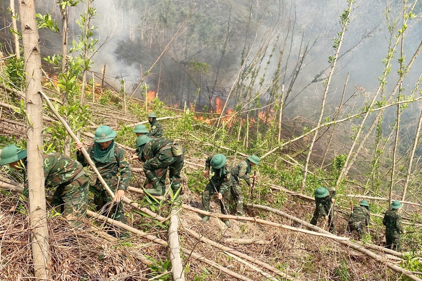 Hàng trăm người tham gia chữa cháy rừng tại TP Uông Bí, tỉnh Quảng Ninh