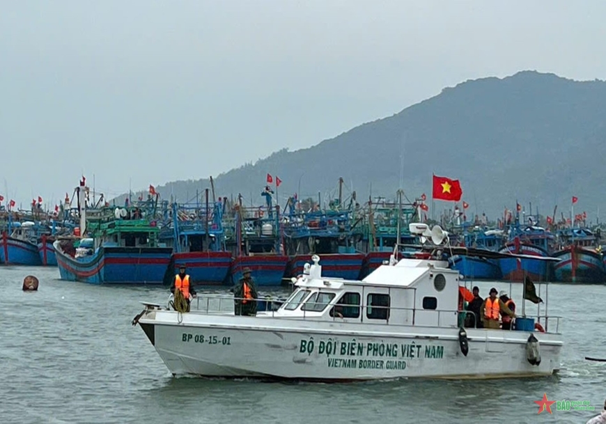 Hỗ trợ ngư dân Đà Nẵng khai thác hải sản xa bờ theo hướng bền vững