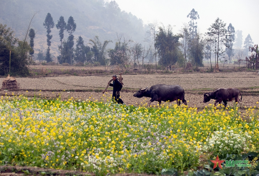 Phát triển du lịch bền vững ở Hà Giang