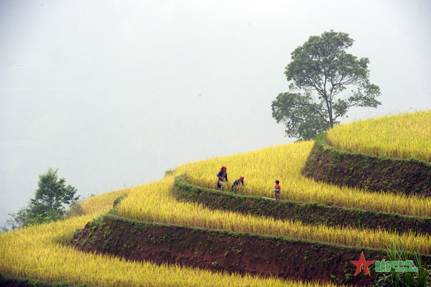 Phát triển du lịch bền vững ở Hà Giang