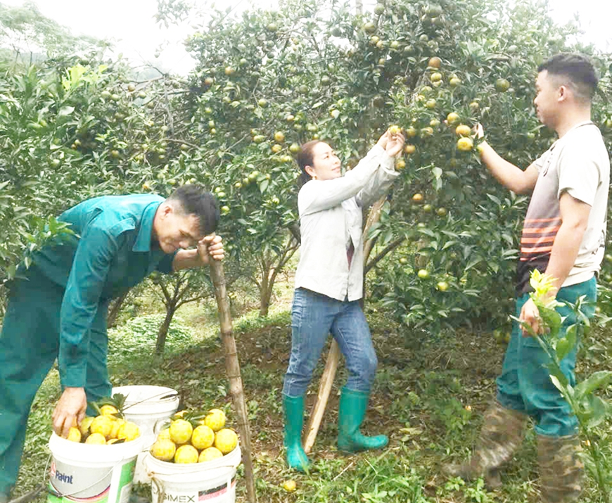 Khuyến khích bộ đội xuất ngũ lập nghiệp tại quê nhà