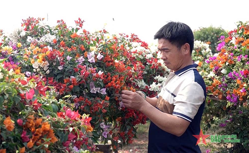 Làng nghề hoa giấy Phù Đổng vào vụ Tết