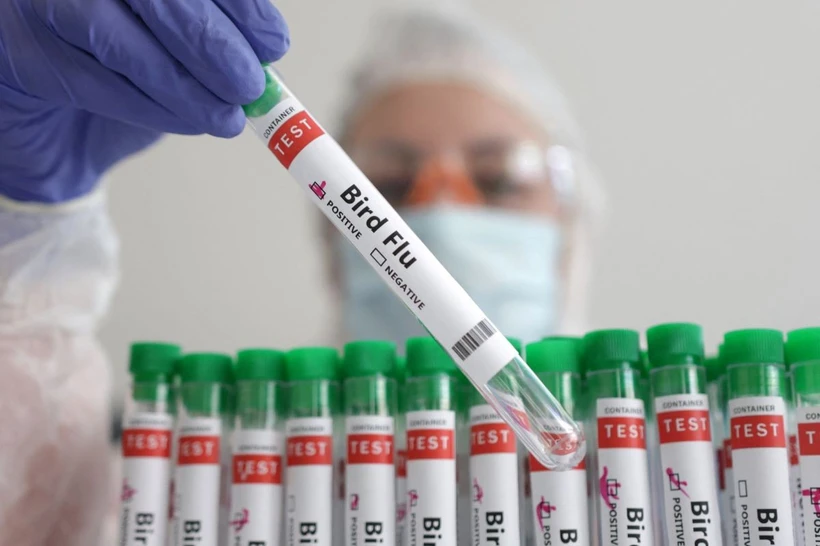 Mỹ ghi nhận ca tử vong đầu tiên do cúm gia cầm H5N1