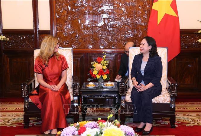 Phó chủ tịch nước Võ Thị Ánh Xuân tiếp Trưởng đại diện UNICEF tại Việt Nam