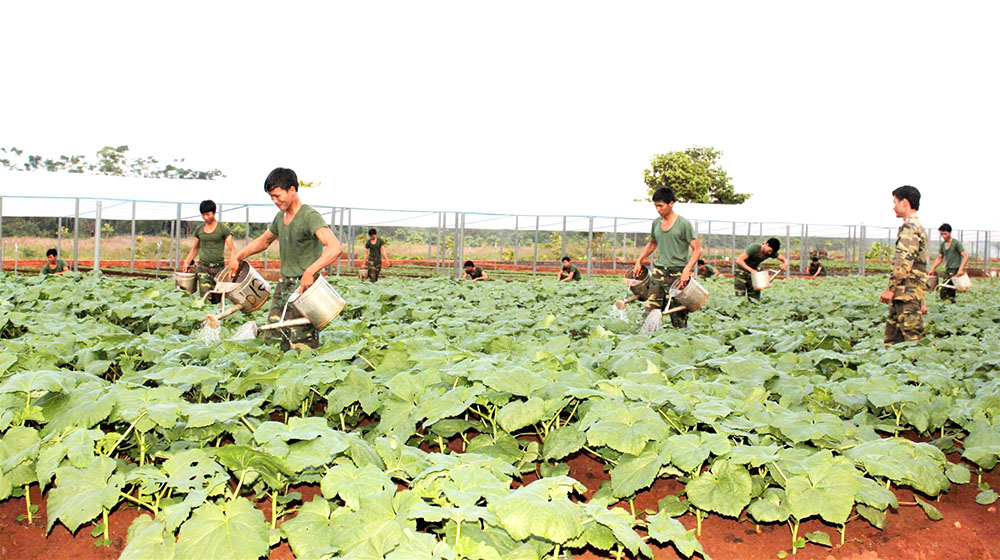 Thi đua xây dựng đơn vị xanh, sạch, đẹp