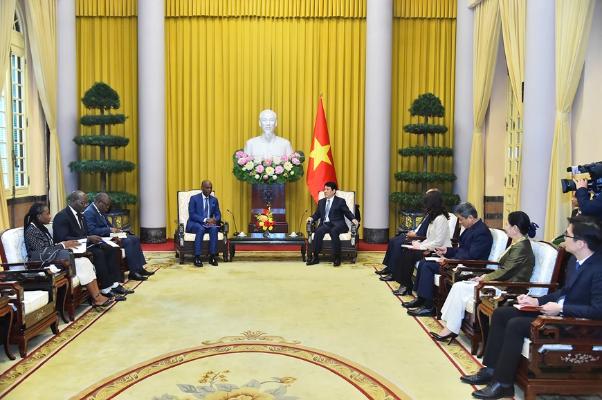 Chủ tịch nước Lương Cường tiếp Bộ trưởng Ngoại giao Togo