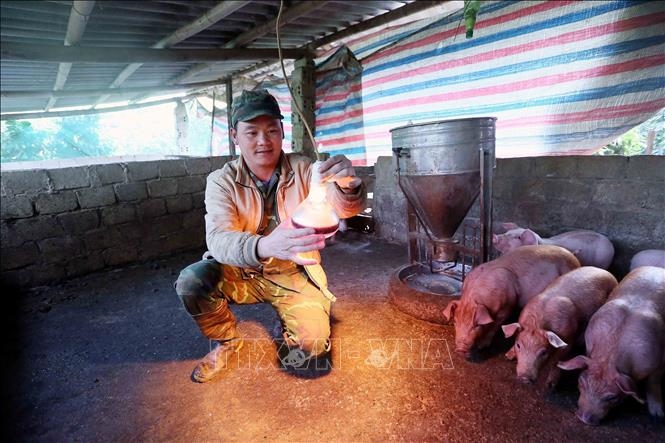 Ứng phó với không khí lạnh tăng cường