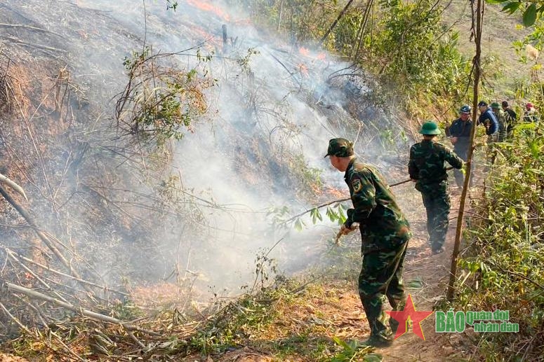 Dập tắt 2 đám cháy rừng tại huyện Tiên Yên và TP Uông Bí (tỉnh Quảng Ninh)