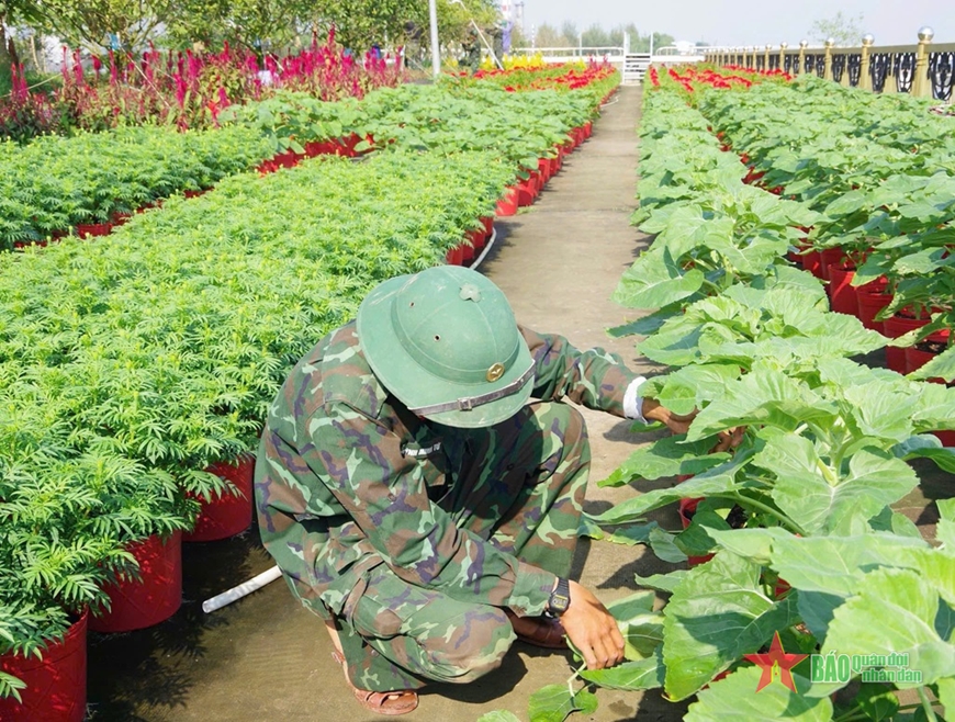 Quân khu 9: Hoa xuân khoe sắc đón Tết cổ truyền