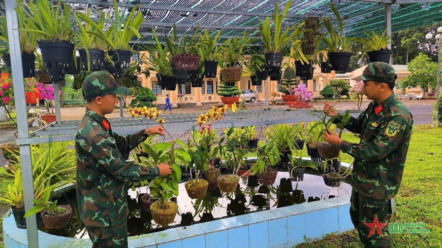 Quân khu 9: Hoa xuân khoe sắc đón Tết cổ truyền