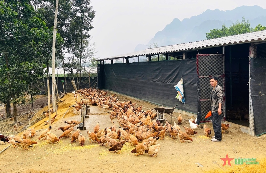 Hà Giang: Sẵn sàng cung ứng thực phẩm phục vụ thị trường Tết