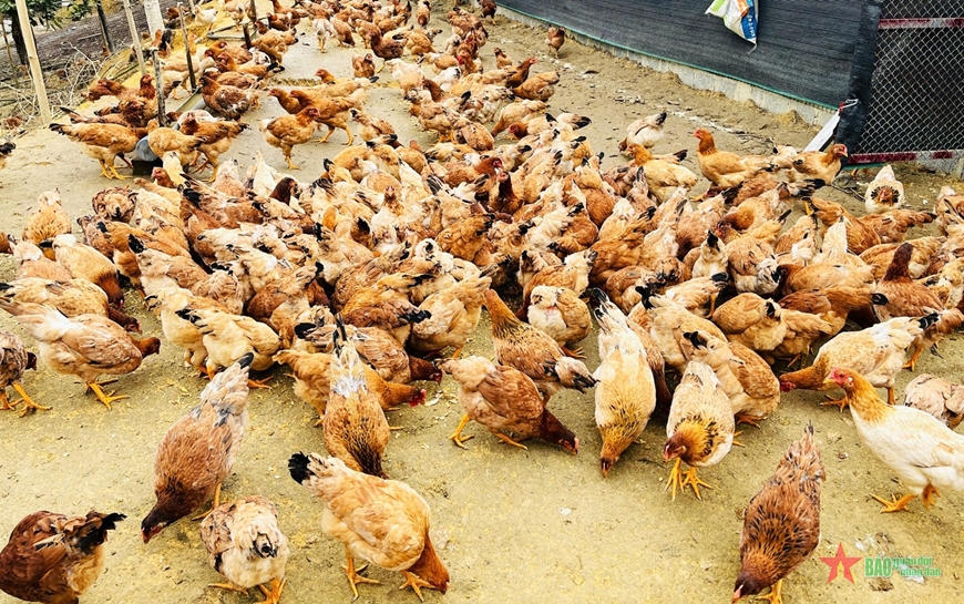 Hà Giang: Sẵn sàng cung ứng thực phẩm phục vụ thị trường Tết
