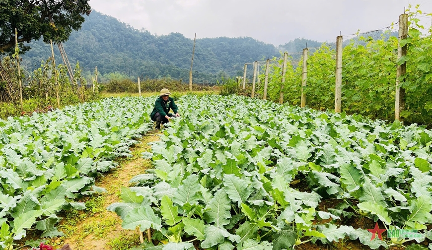 Hà Giang: Sẵn sàng cung ứng thực phẩm phục vụ thị trường Tết