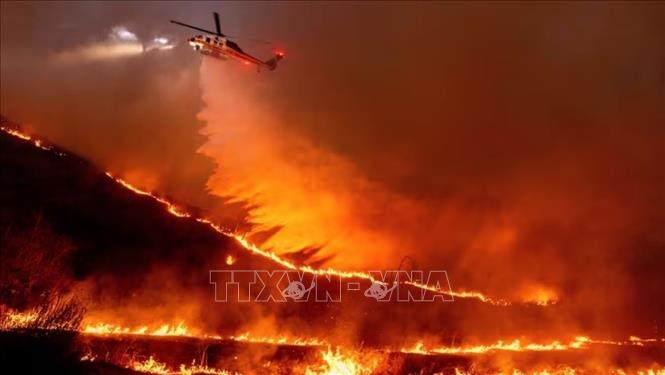Cháy rừng tại Mỹ: Các công ty quản lý tài sản gặp khó
