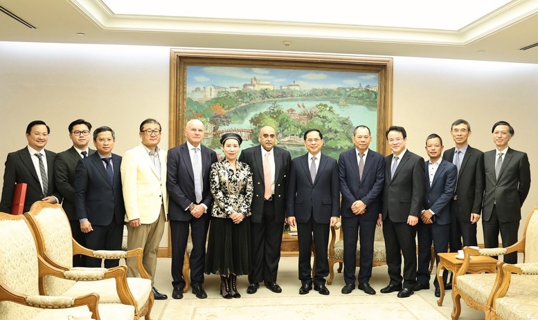 Phó thủ tướng Bùi Thanh Sơn tiếp Chủ tịch Tập đoàn Makara Capital Ali Ijaz Ahmad