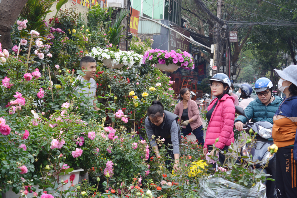 Những dòng “sông hoa” chảy giữa Hà Thành ngày Tết
