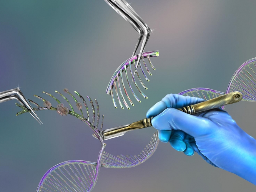 CRISPR-Cas9 là một công cụ chỉnh sửa bộ gen cho phép sửa đổi có mục tiêu vào vật liệu di truyền của tế bào. Ảnh: sciencesetavenir.fr 