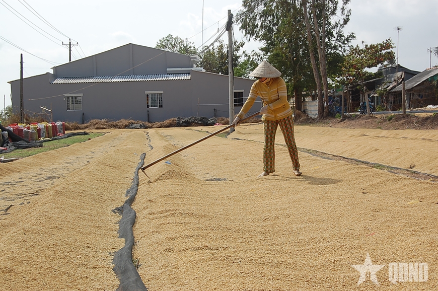 Việt Nam luôn phấn đấu sản xuất nông nghiệp xanh