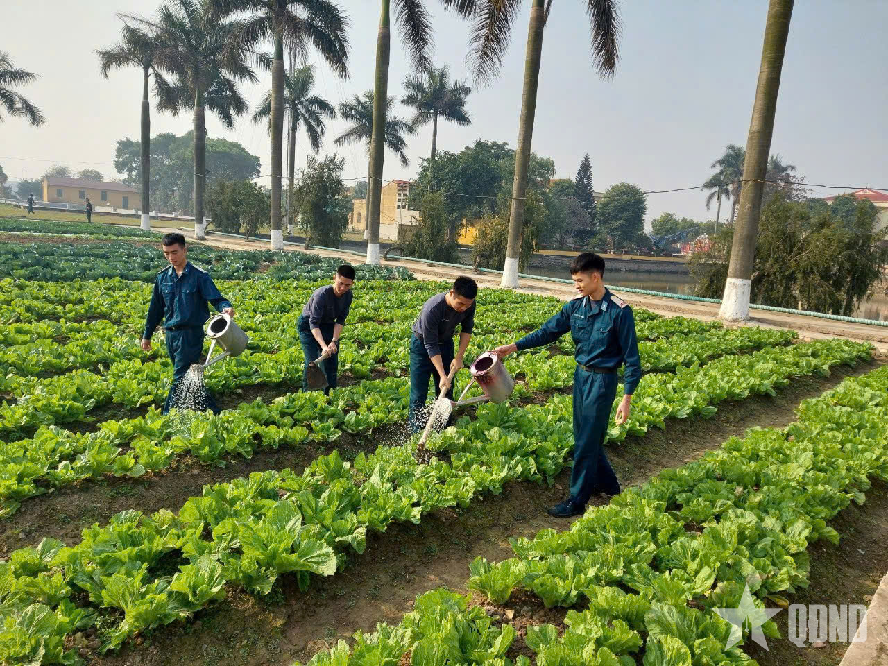 Trung đoàn 236 sẵn sàng đón Tết