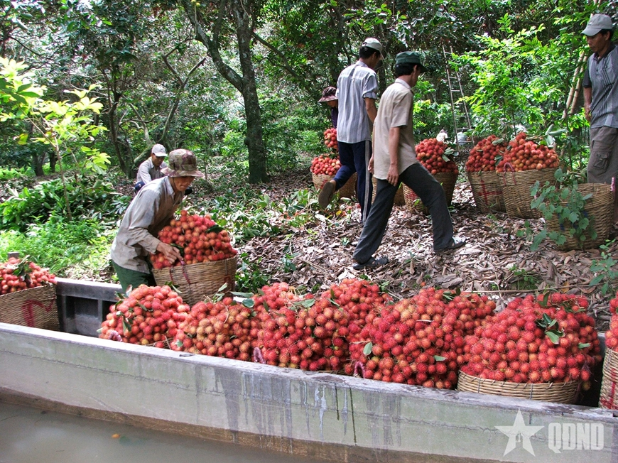 Việt Nam luôn phấn đấu sản xuất nông nghiệp xanh