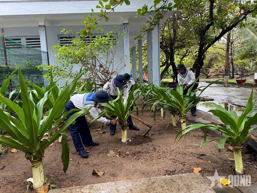 “Xanh hóa Trường Sa” “Xanh hóa Trường Sa”