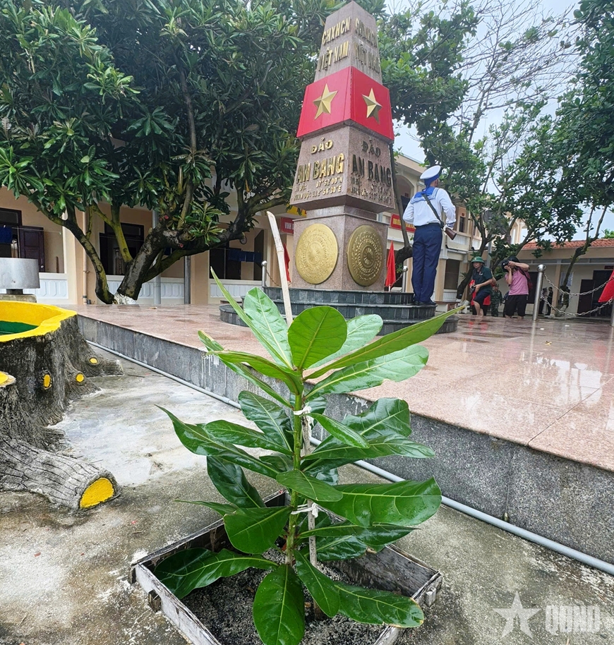 “Xanh hóa Trường Sa” “Xanh hóa Trường Sa”