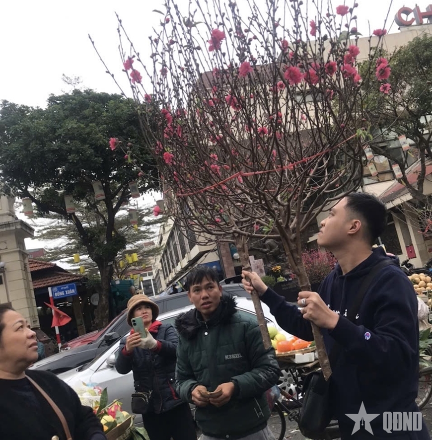 Giá cả thị trường Tết Nguyên đán Ất Tỵ giữ ổn định