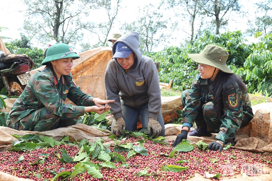 “Nữ tướng” Đội 3 và những “giọt đắng vàng”