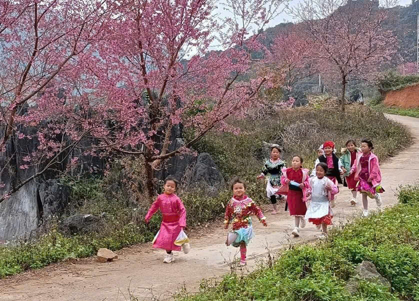 Sắc hoa xuân trong ánh nắng ngọt ngào