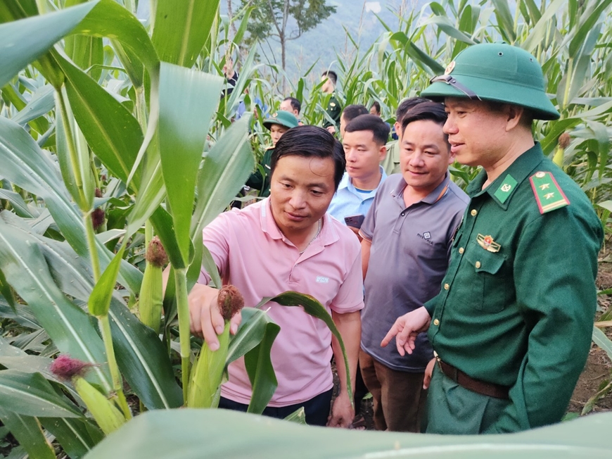 Bản sáng vùng biên