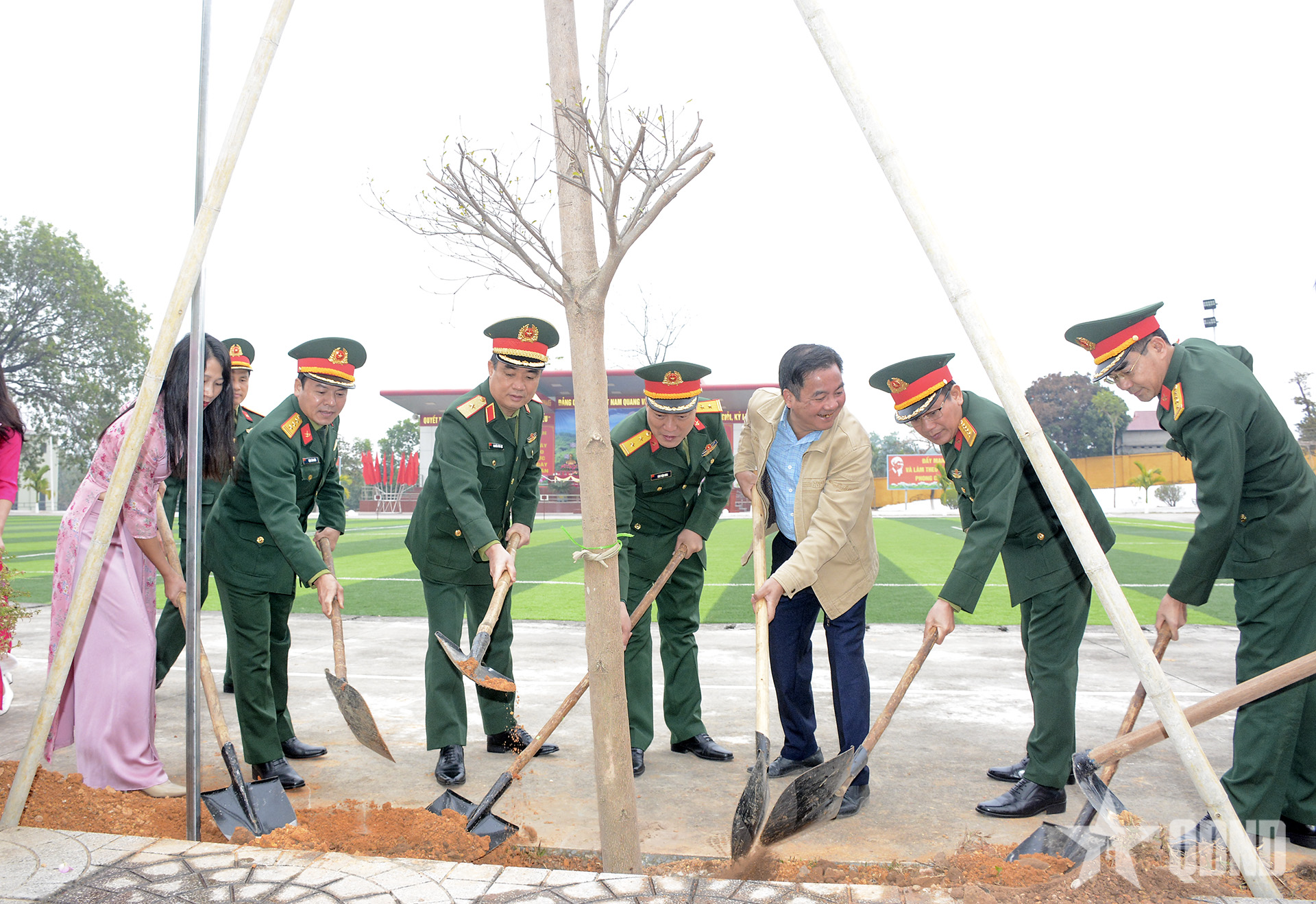 Trồng cây nâng cao chất lượng môi trường kho xăng dầu