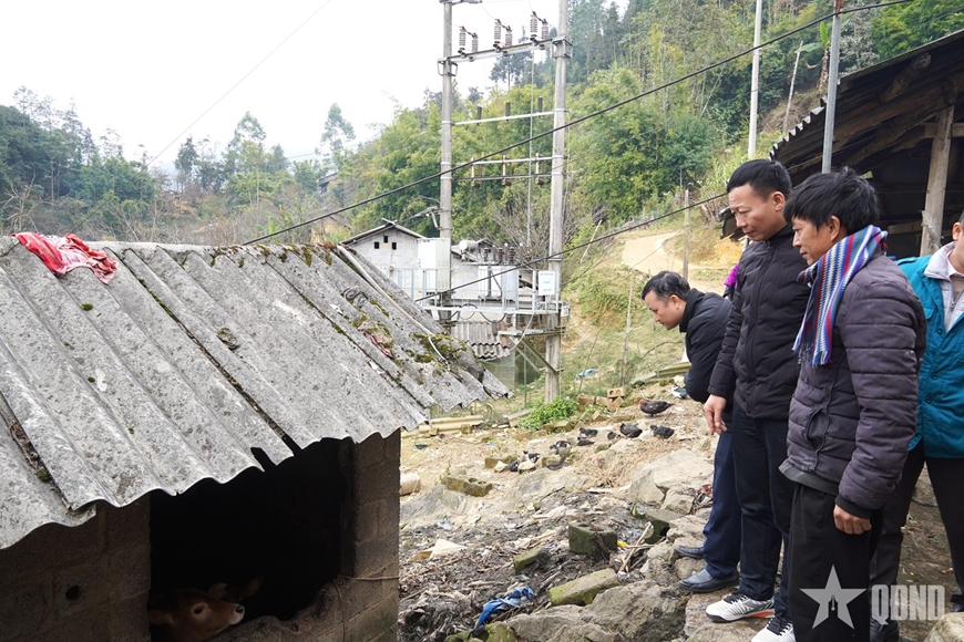 Hà Giang: Ứng phó với rét đậm, rét hại cho đàn vật nuôi