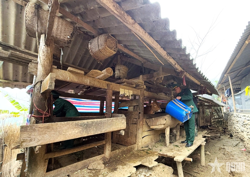 Hà Giang: Ứng phó với rét đậm, rét hại cho đàn vật nuôi