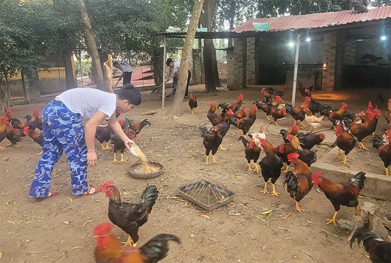Ấn tượng công tác tăng gia sản xuất tại Hải đội 102, Bộ tư lệnh vùng Cảnh sát biển 1