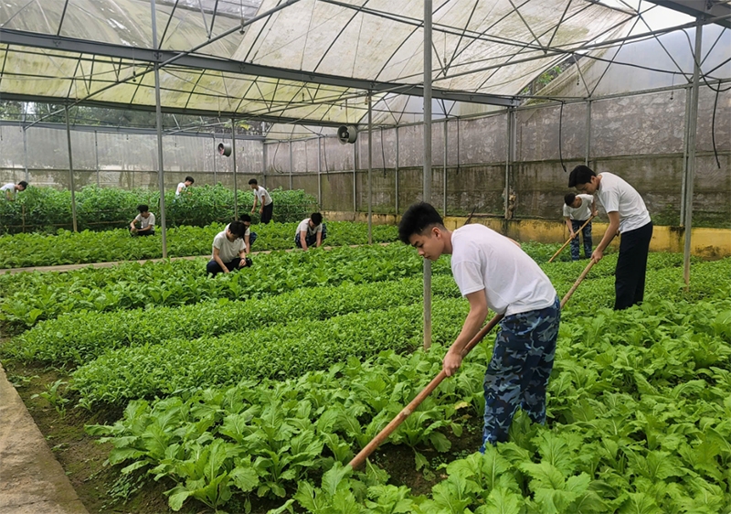 Ấn tượng công tác tăng gia sản xuất tại Hải đội 102, Bộ tư lệnh vùng Cảnh sát biển 1