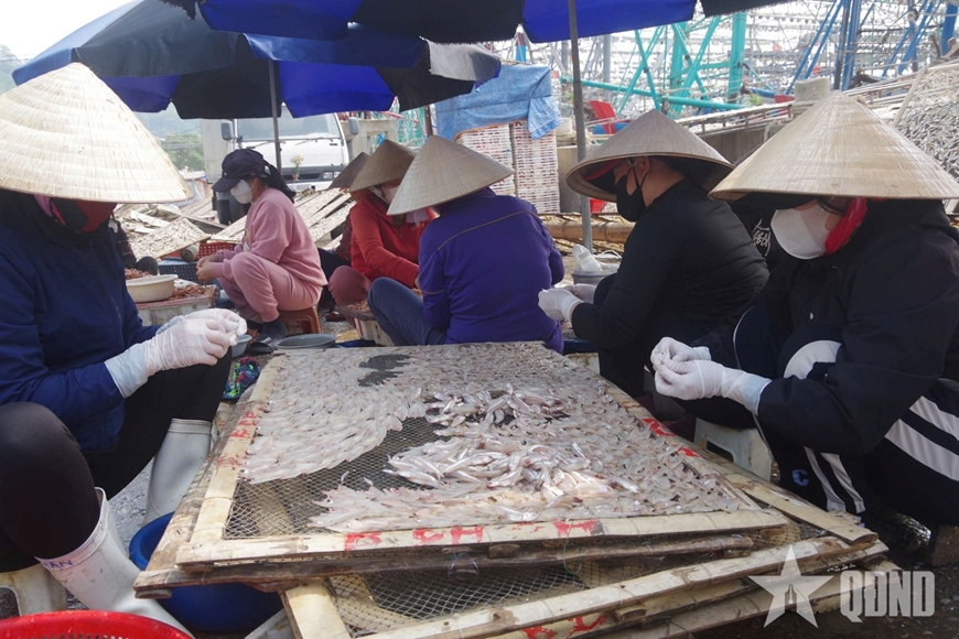 Nhộn nhịp “làng nghề” chế biến cá cơm