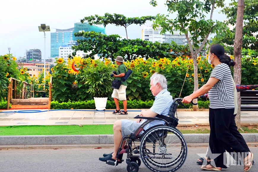 Hoa hướng dương khoe sắc tại công viên bờ sông Sài Gòn