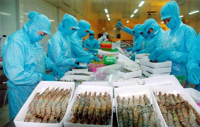 Xuất khẩu tôm của Việt Nam bứt phá mạnh mẽ