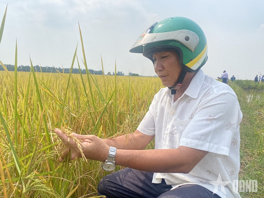 Bài học thành công của một nông dân chuyên cần