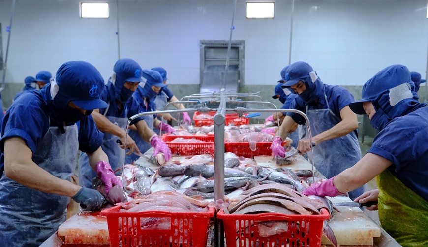 Doanh nghiệp ngành thực phẩm lo ngại gánh nặng thủ tục hành chính