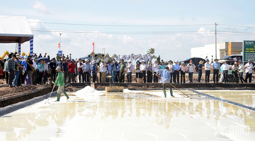 Bạc Liêu: Thông xe 2 tuyến đường thuộc Dự án nâng cấp cơ sở hạ tầng đồng muối Đông Hải